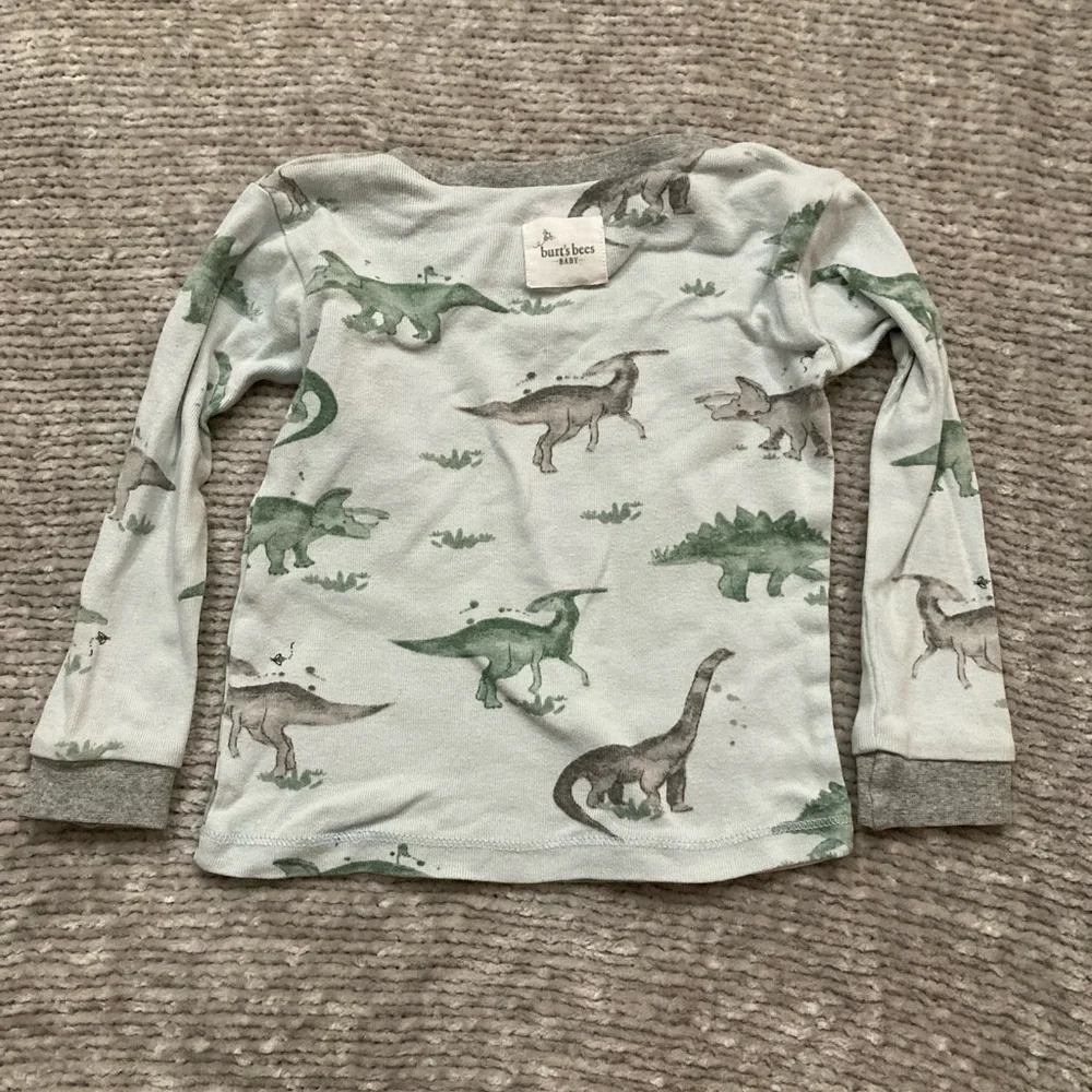 Burt’s Bees Baby‎ Dinosaur Pajama Set Size 18 Months PJs 100% Organic Cotton